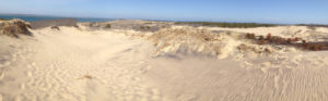 Walking Dunes 3